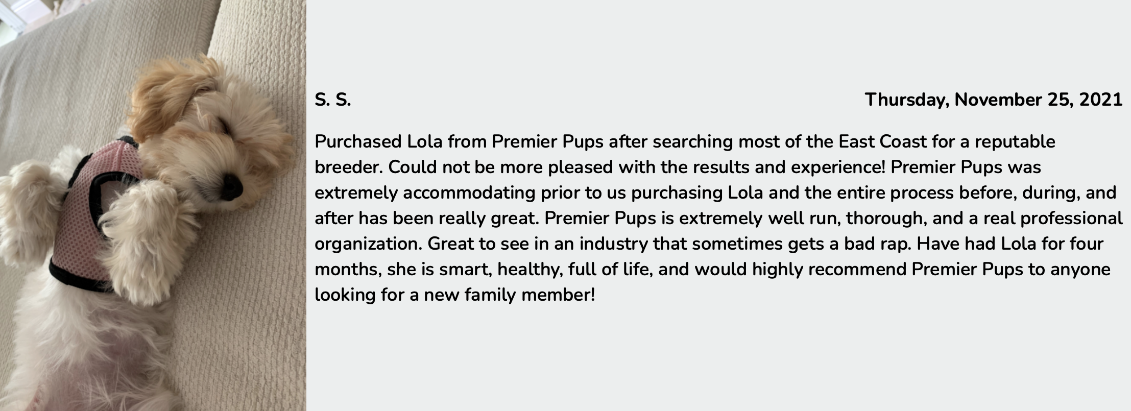 maltipoo puppy breeders customer review