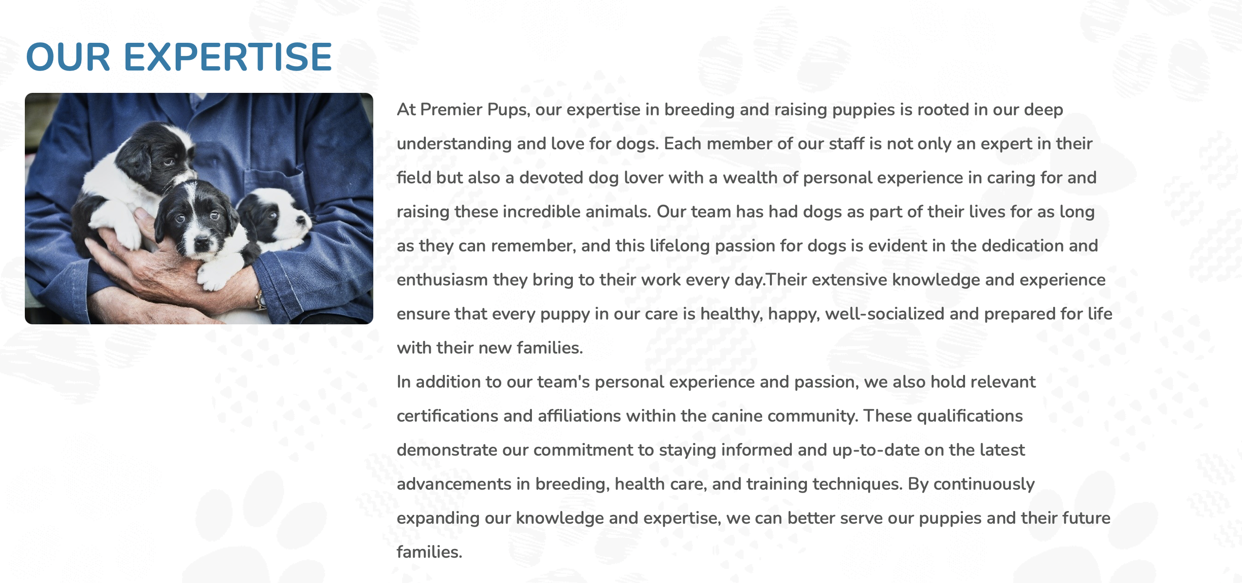 premier pups expertise