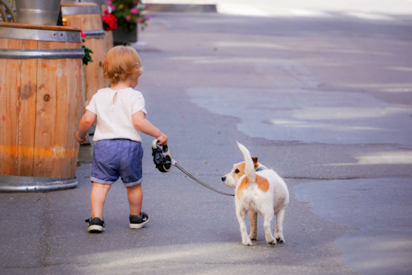Leash Training 101: The Ultimate Guide for Dog Lovers
