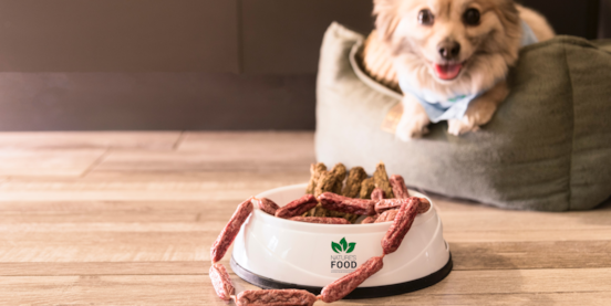 Choosing The Right Food For Your Pomeranian Dog