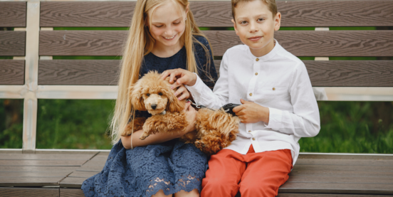 Comparing Doodle Puppy Breeds: Which One is Right for Your Family? Comparing Doodle Puppy Breeds: Which One is Right for Your Family?