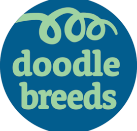 Doodle Breeds Puppies For Sale - Premier Pups