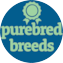 Purebred Breeds Puppy For Sale - Premier Pups