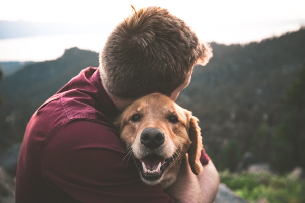 What Dogs Make The Most Awesome Loyal Companions? 2022