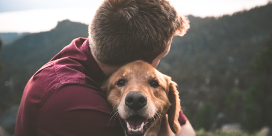 What Dogs Make the Most Loyal Companions? What Dogs Make the Most Loyal Companions?