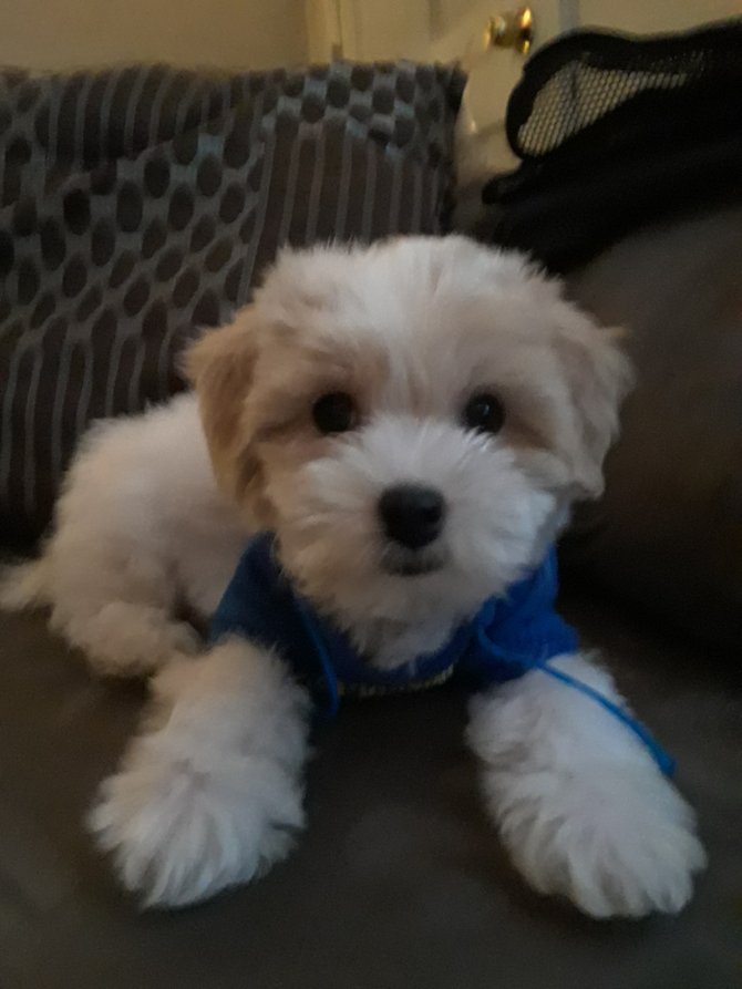 BENJAMIN