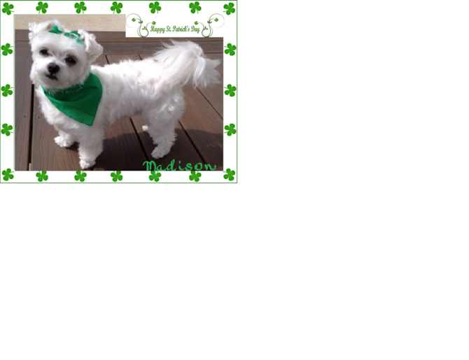Madison (formerly Sugar)