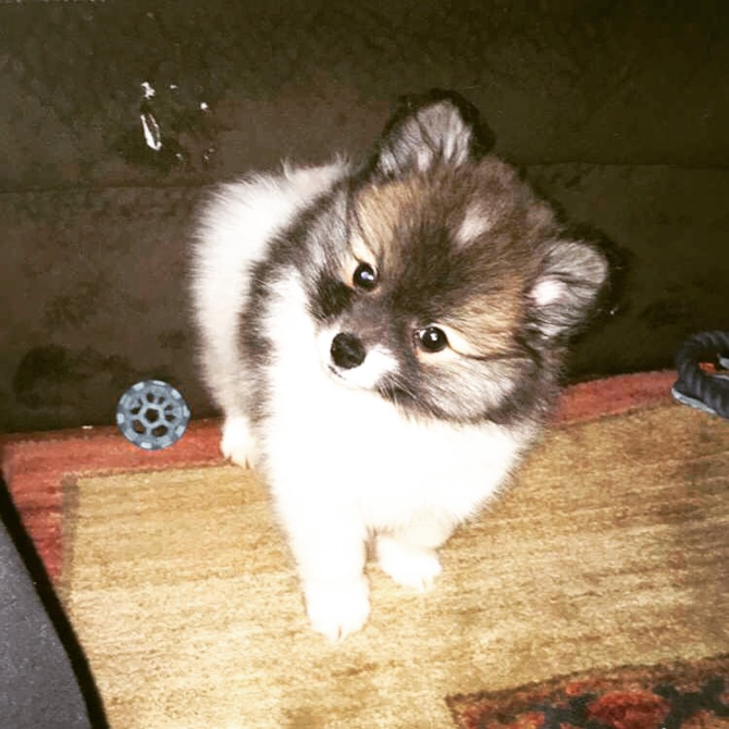Petey