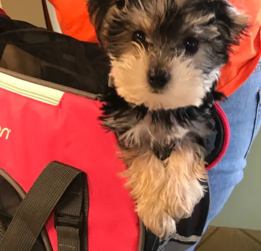 Maddie ( formerly Trini)