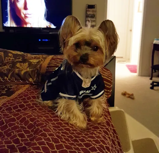 Bentley