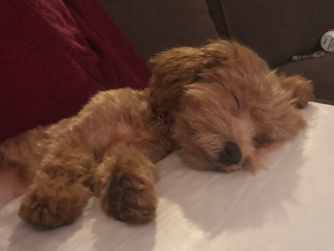Winston