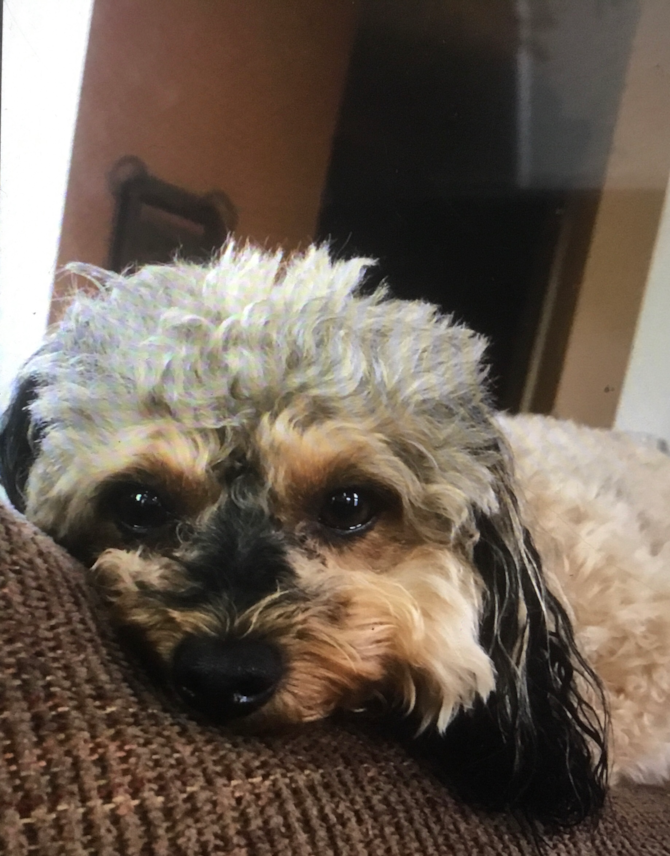 Coco