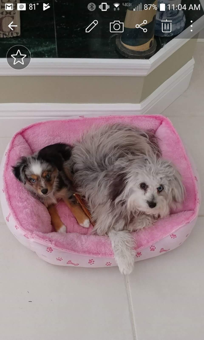 Maverick and Lily Grace (aka Norah)