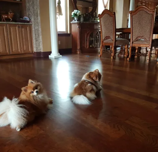 Daphne and Giggy
