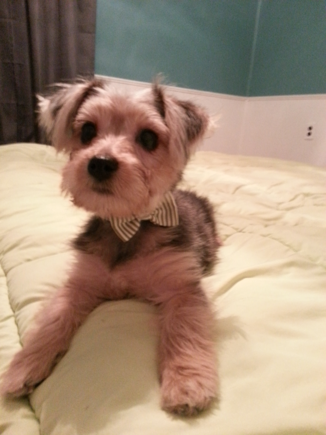 Dexter