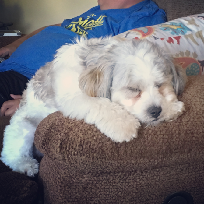 Barkley