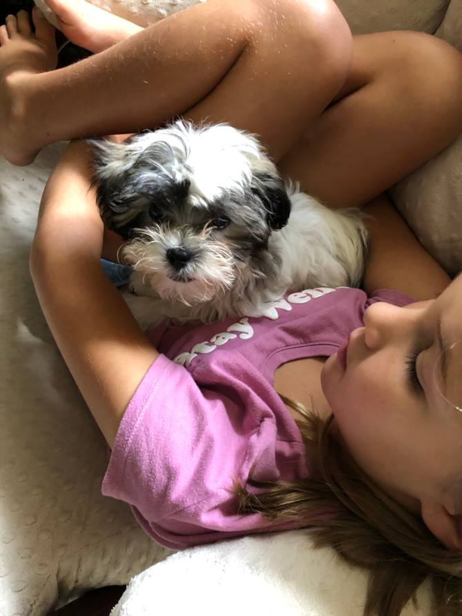 Tucker (Sosa)