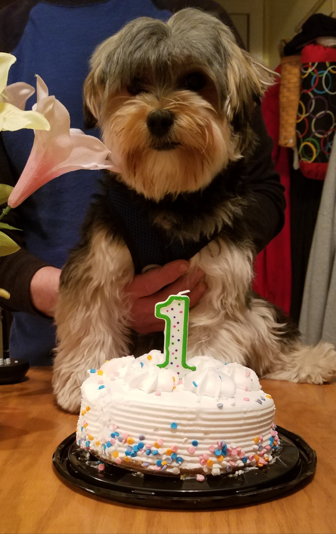 Ralph (now Ziggy)
