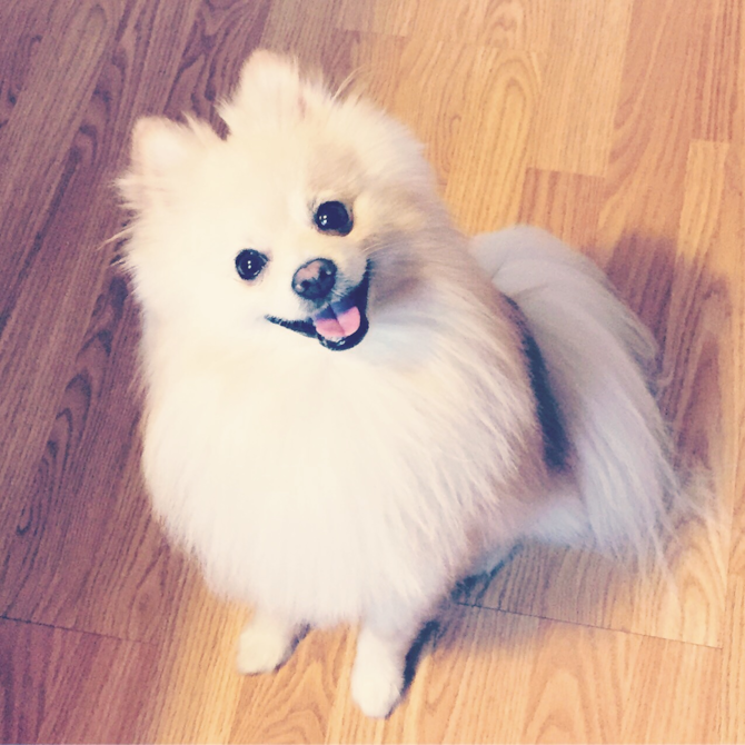 Winston