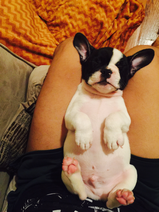 Buster