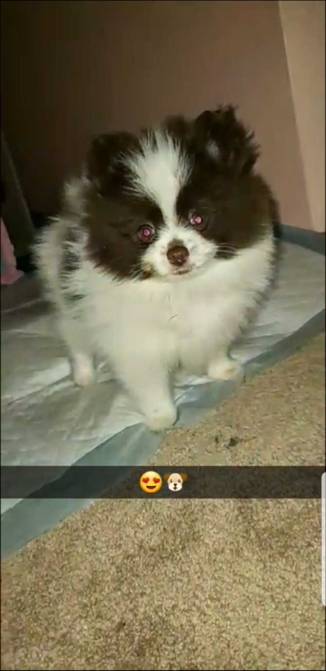 Pablo