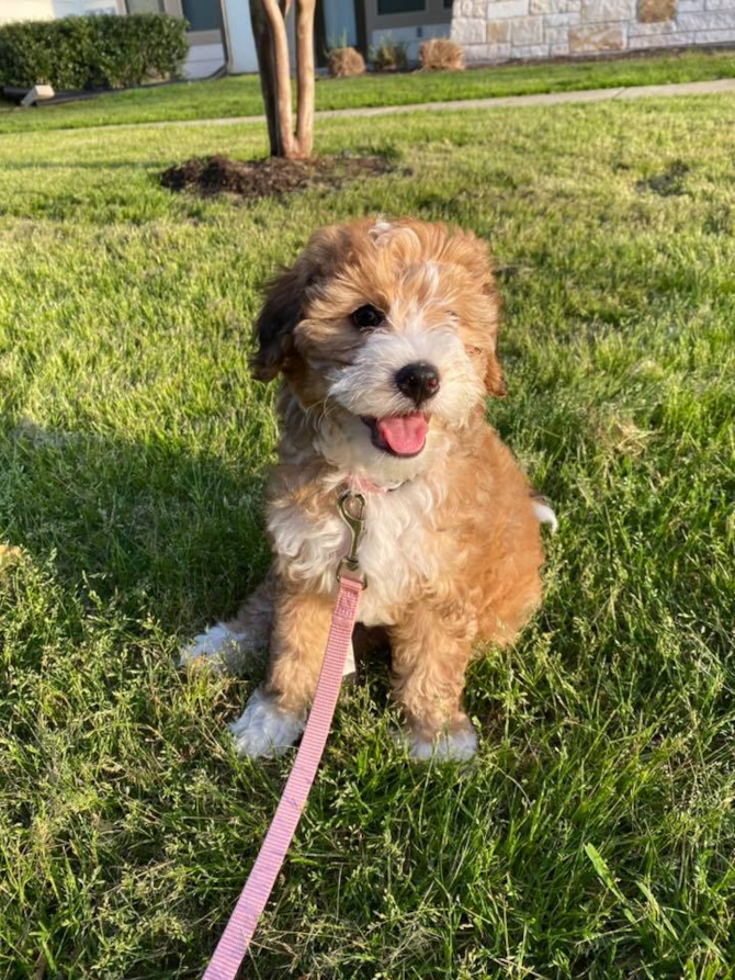 Callie (previously Jayla)
