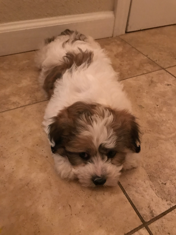 Benny