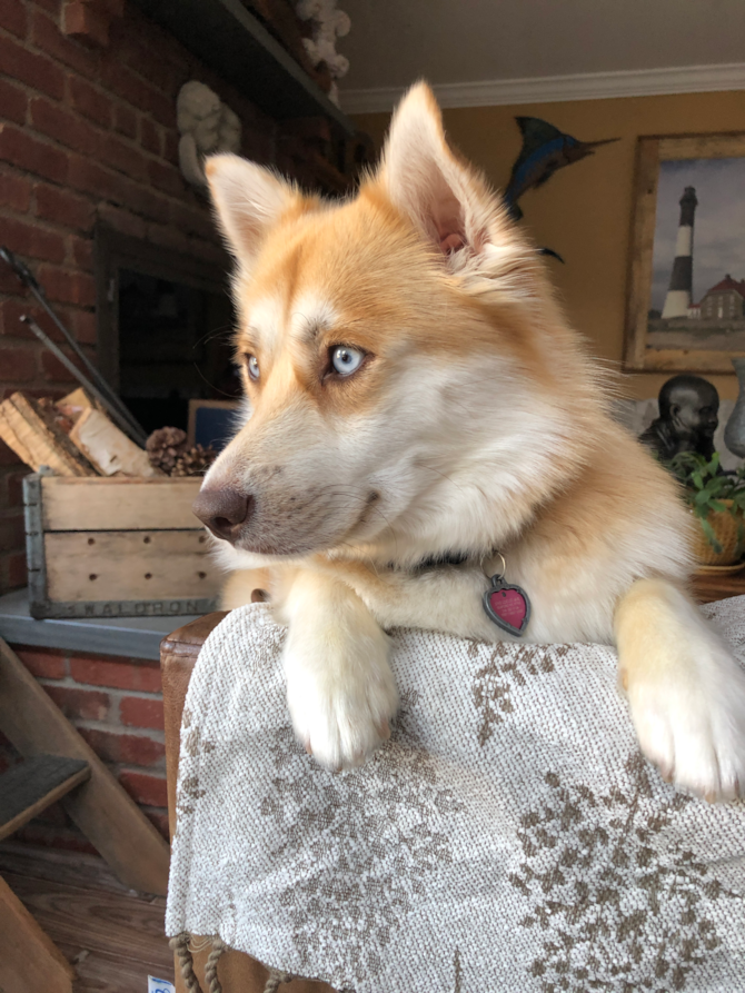 Lexi formally Luna