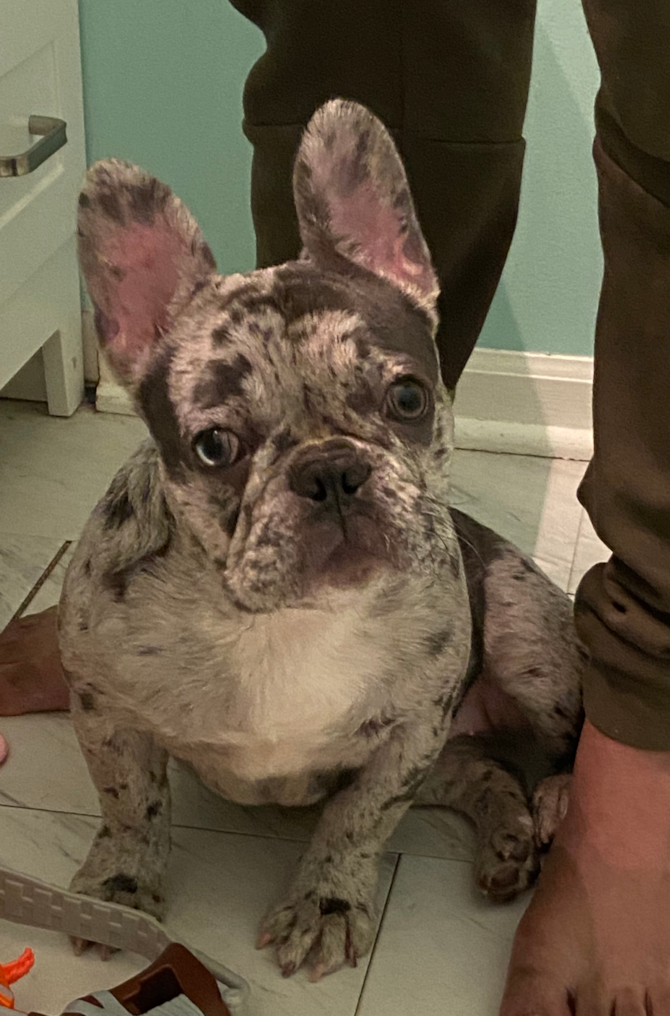 Lola