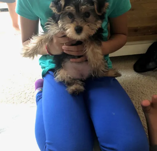 Bella