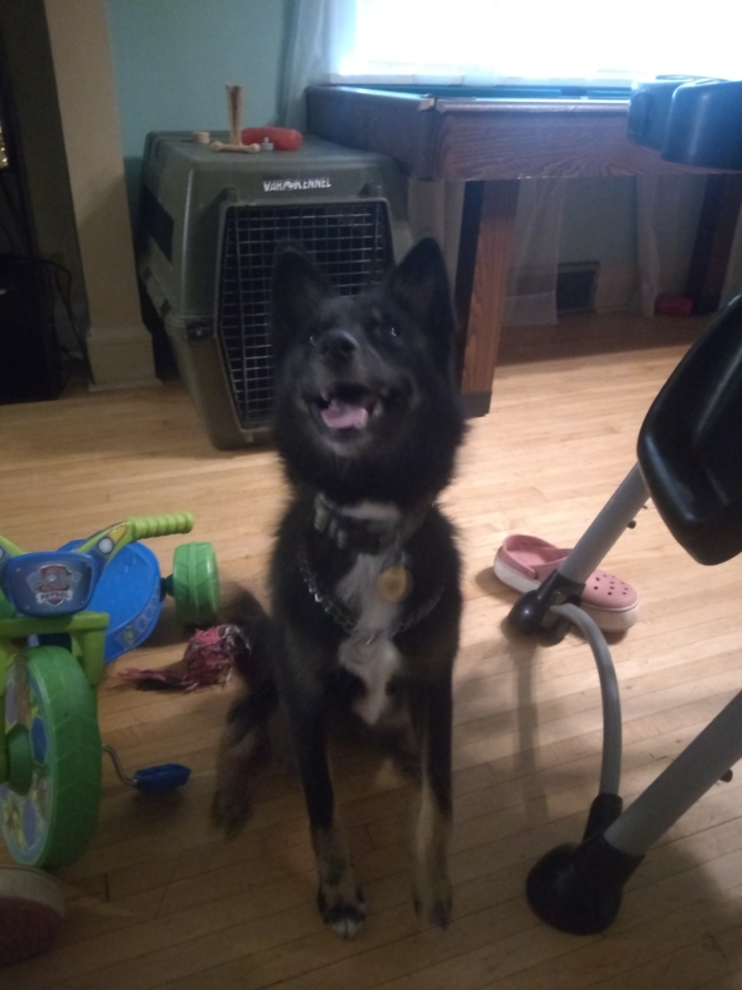 Camp aka Tiberius