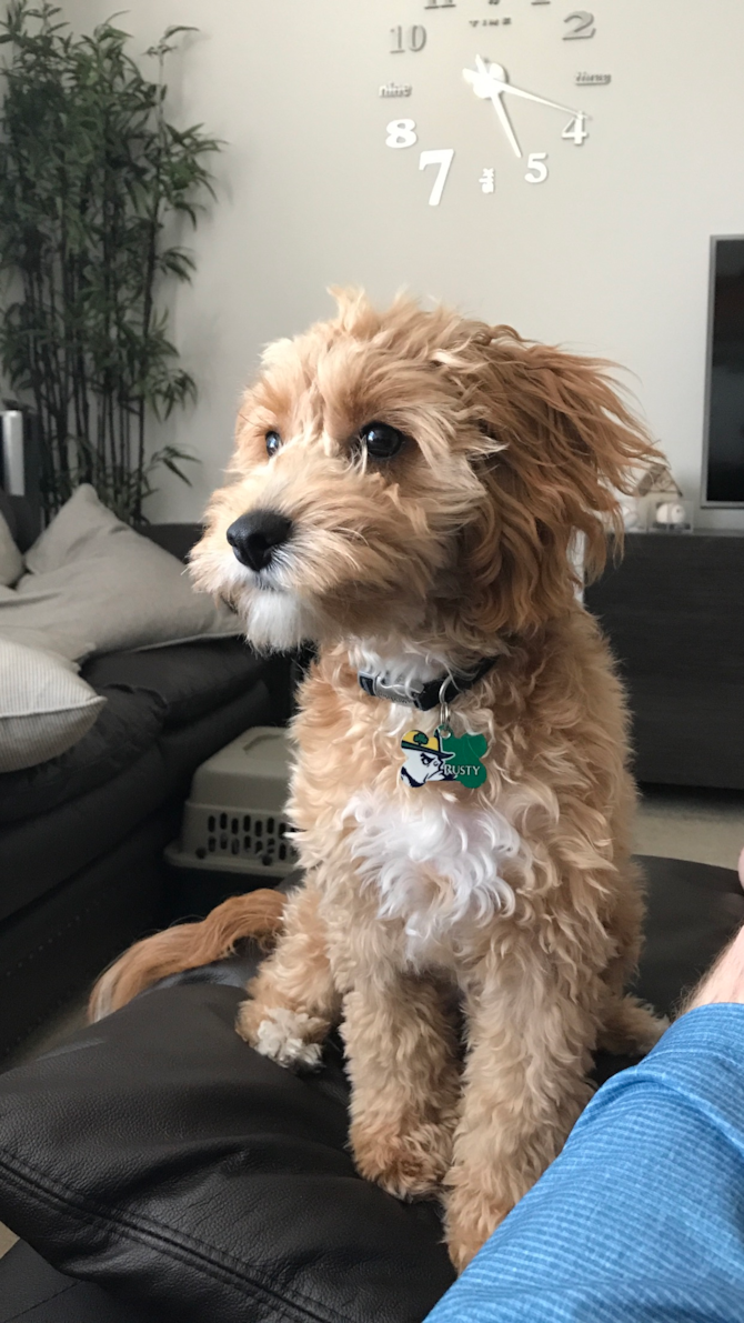 Rusty