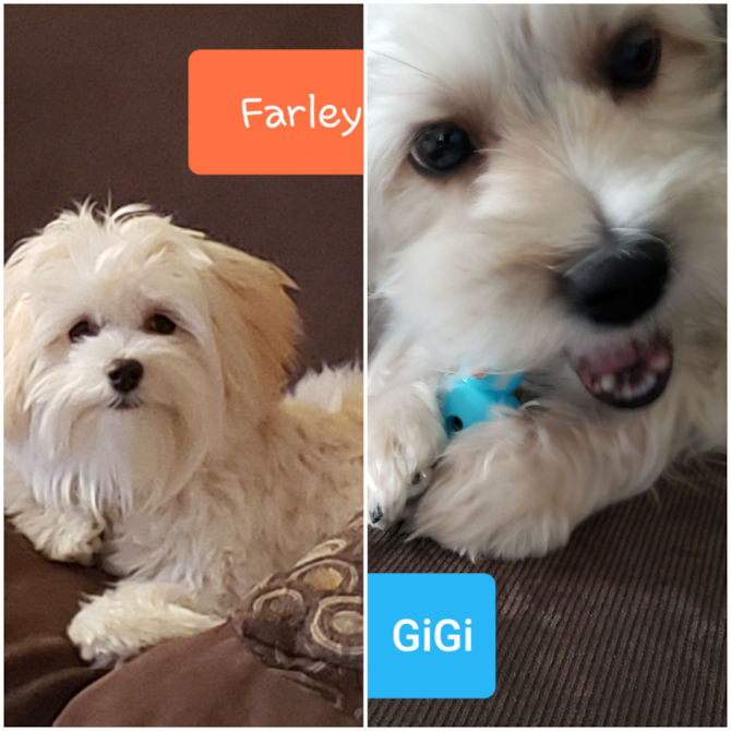 Farley and GiGi