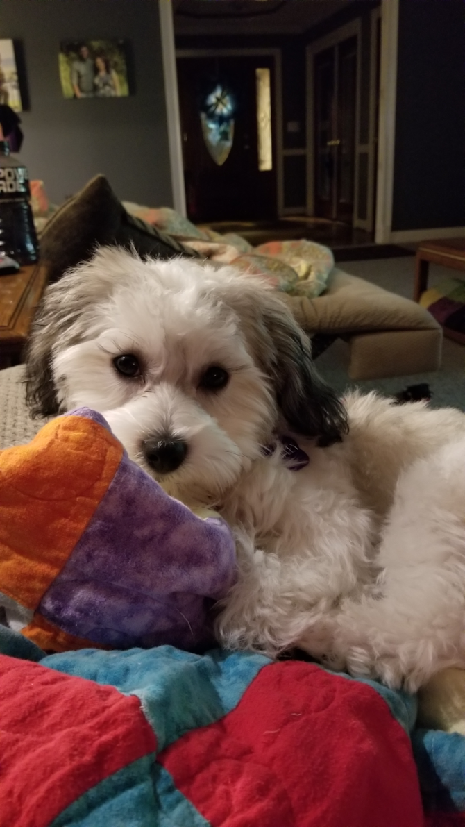 Ripley