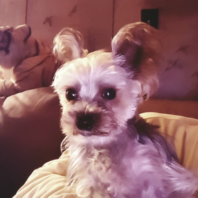 Sebastian (I renamed him Max)