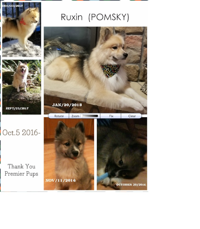 Ruxin