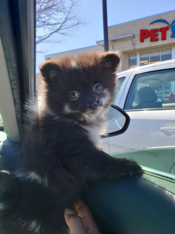 Marley (formally known as Moana)