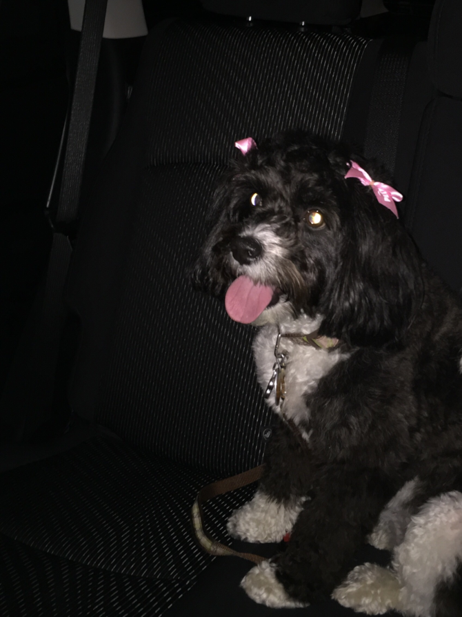 Maggie