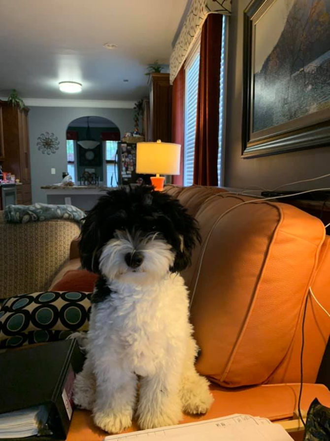 Izzy, was Sadie