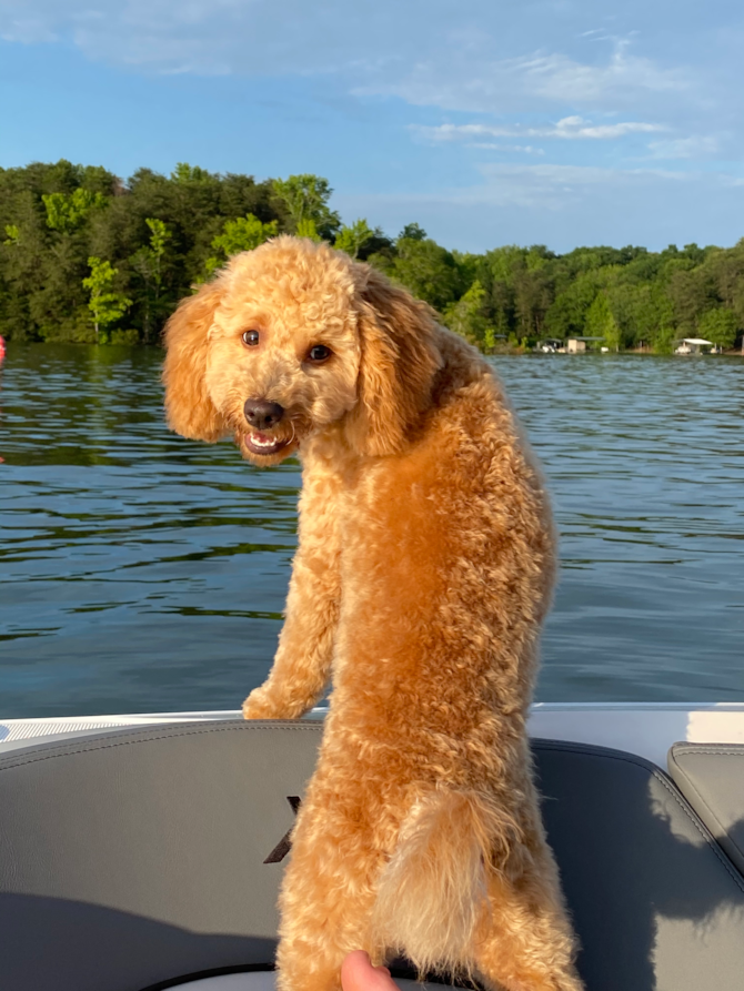 Lucy (formerly Tina)