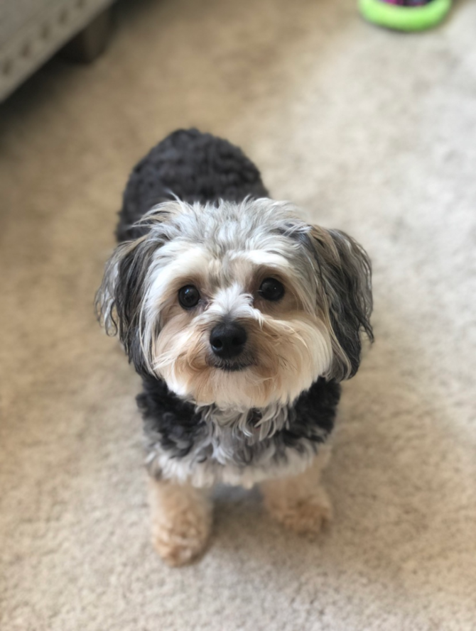 Sophie
