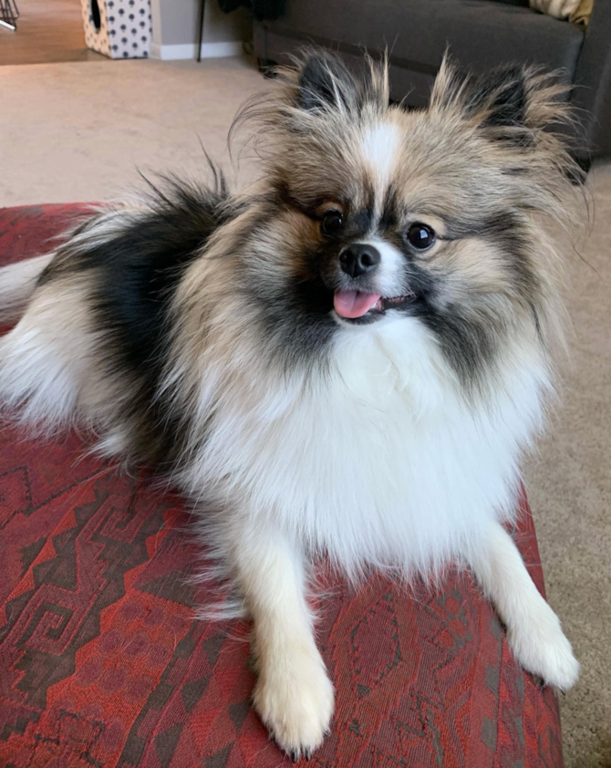 Twyla