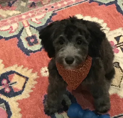 Winnie