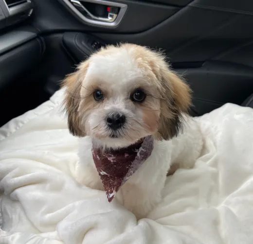 Charlie