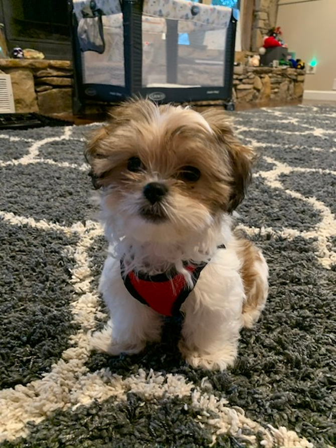 Delilah