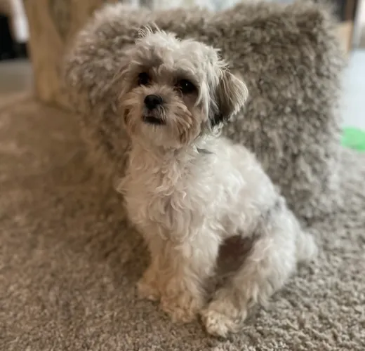 Tucker (formerly Sosa)