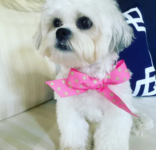Winnie