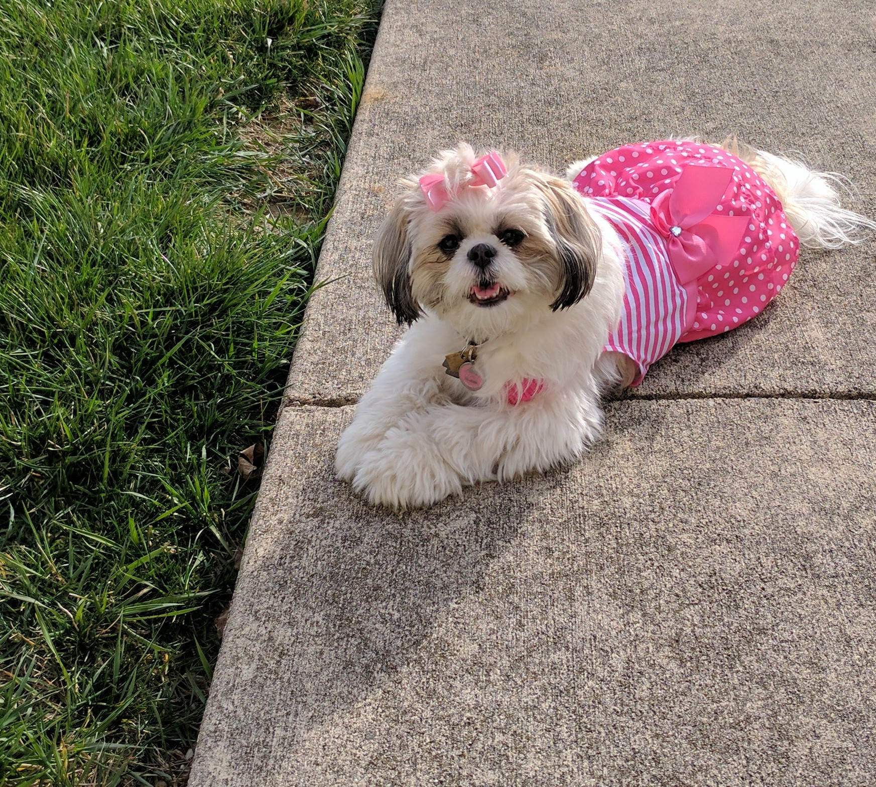 Small Teddy Bear Baby