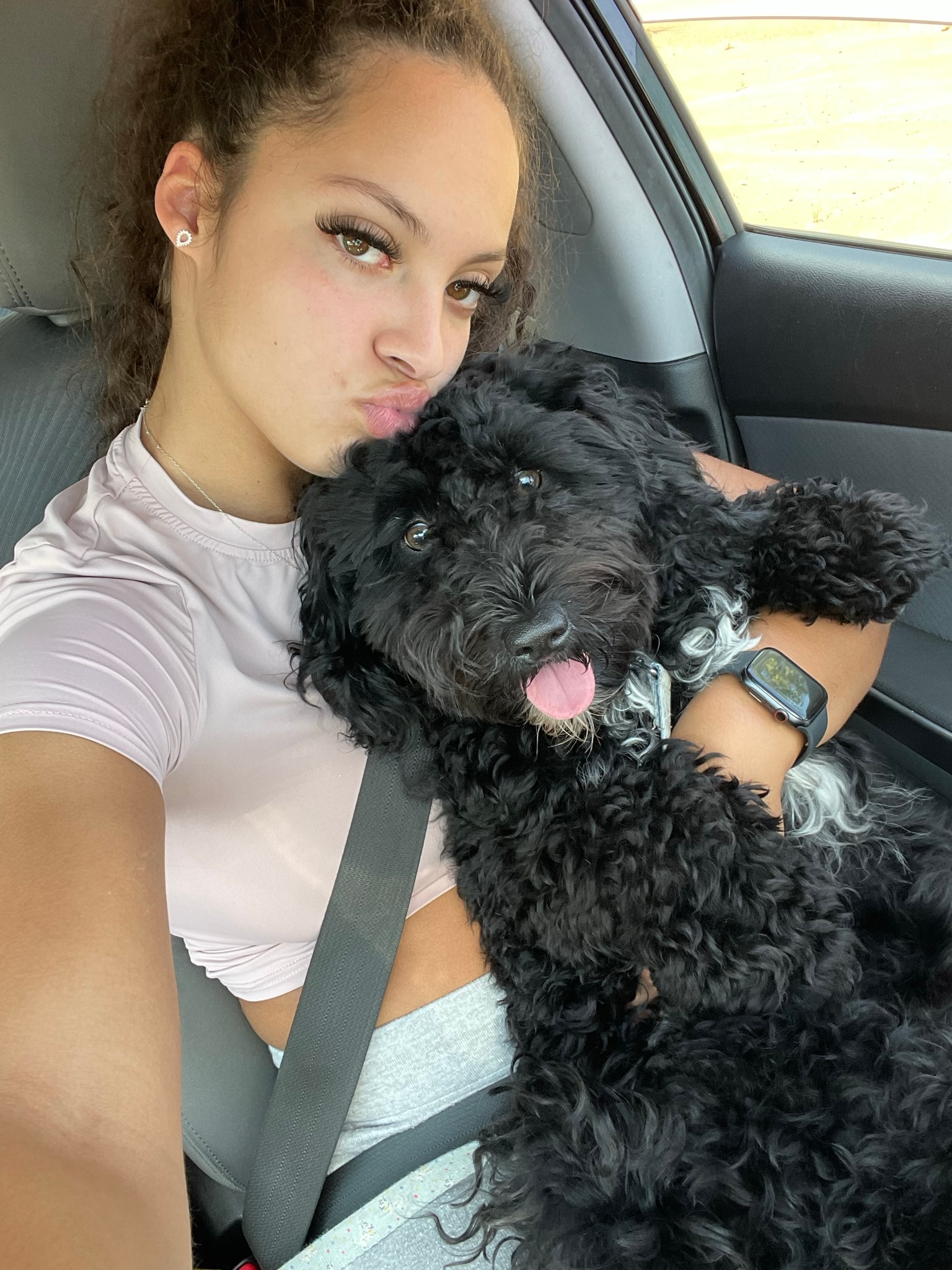 Mini Portidoodle Pup Being Cute