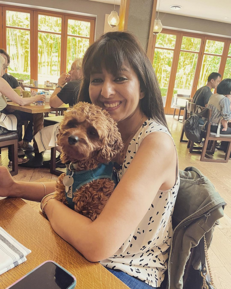 Happy Cavapoo Pup